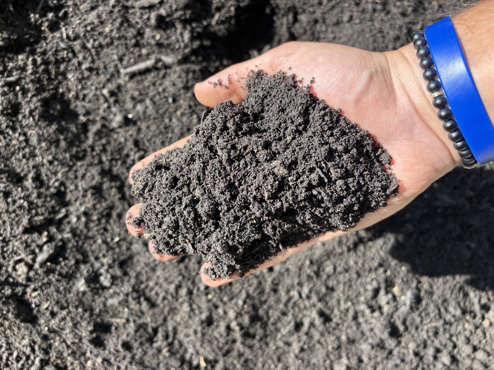 50/50 topsoil and compost mix closeup