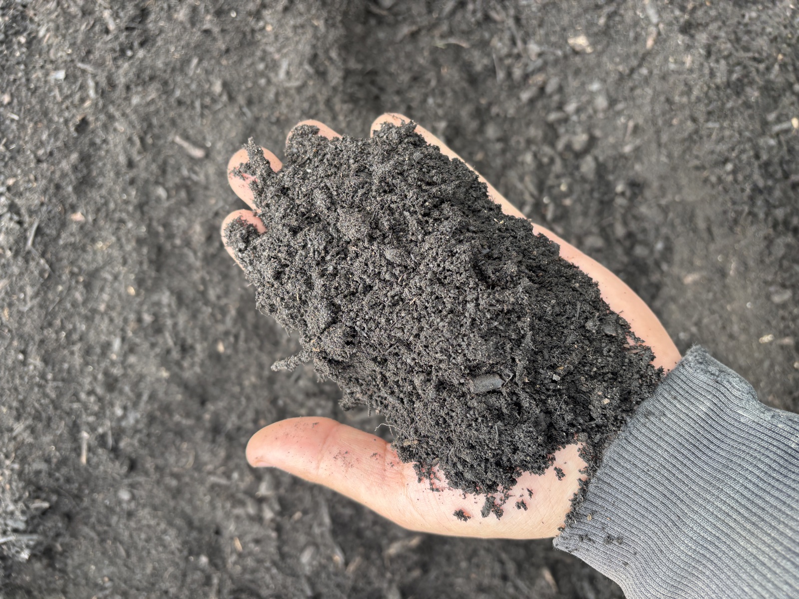 Compost in hand at Miller's Landscape and Supply