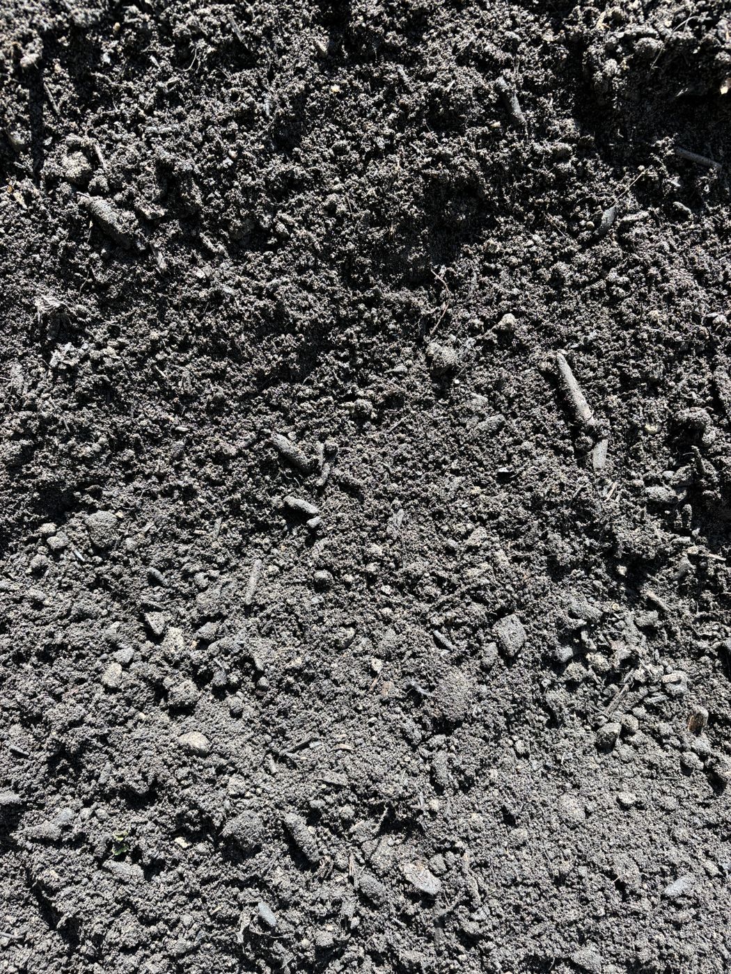 Compost in hand