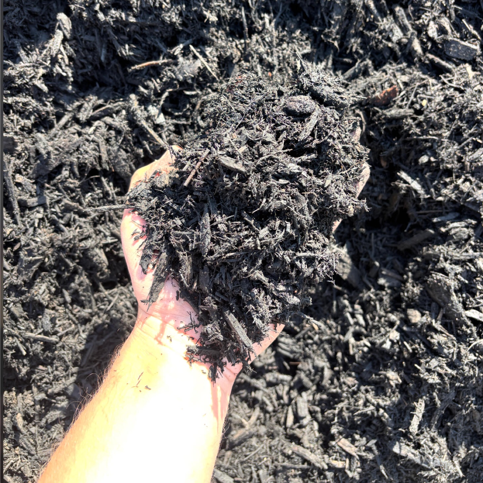 Black mulch from Miller's Landscape and Supply