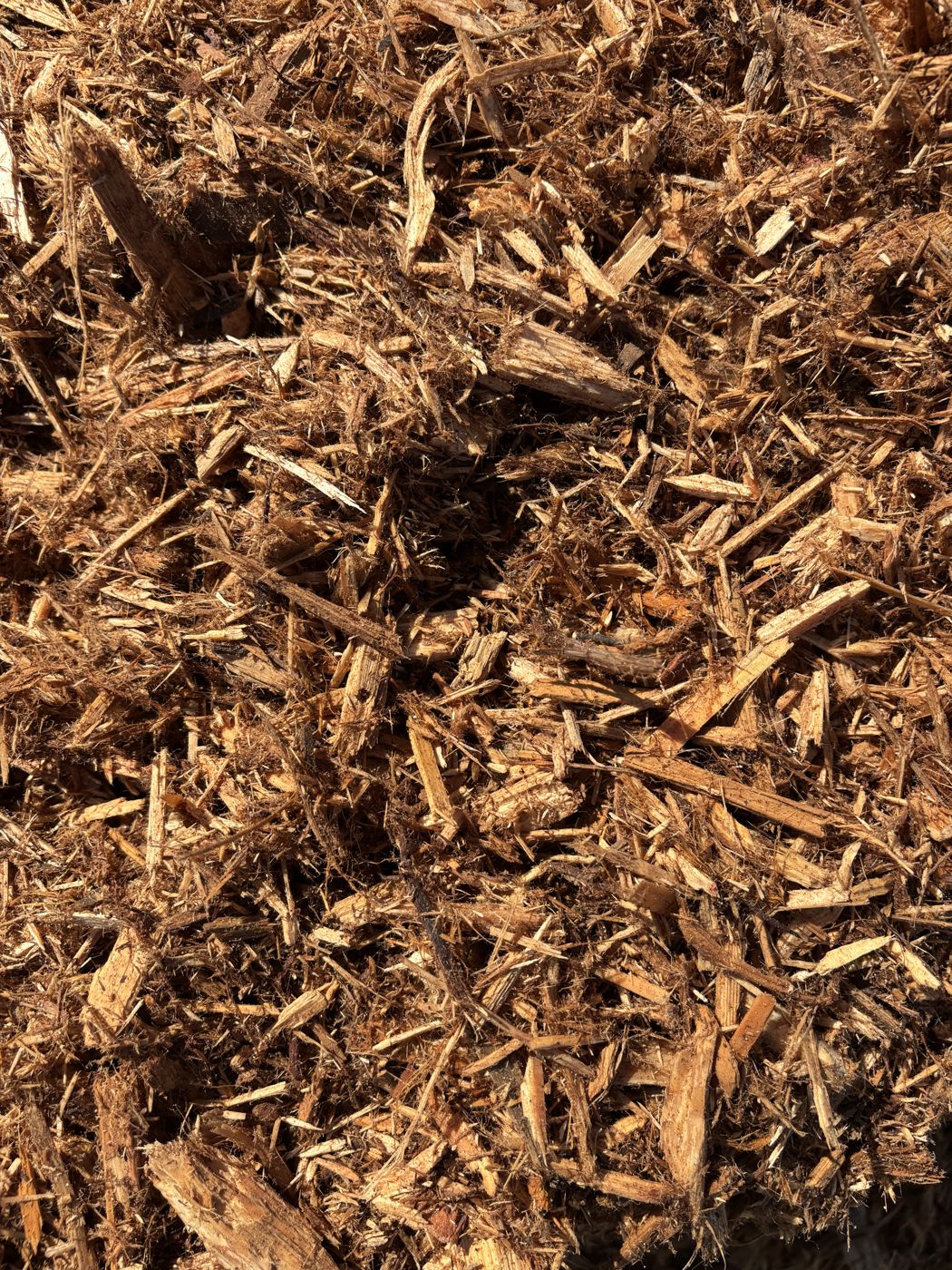 Cedar mulch closeup