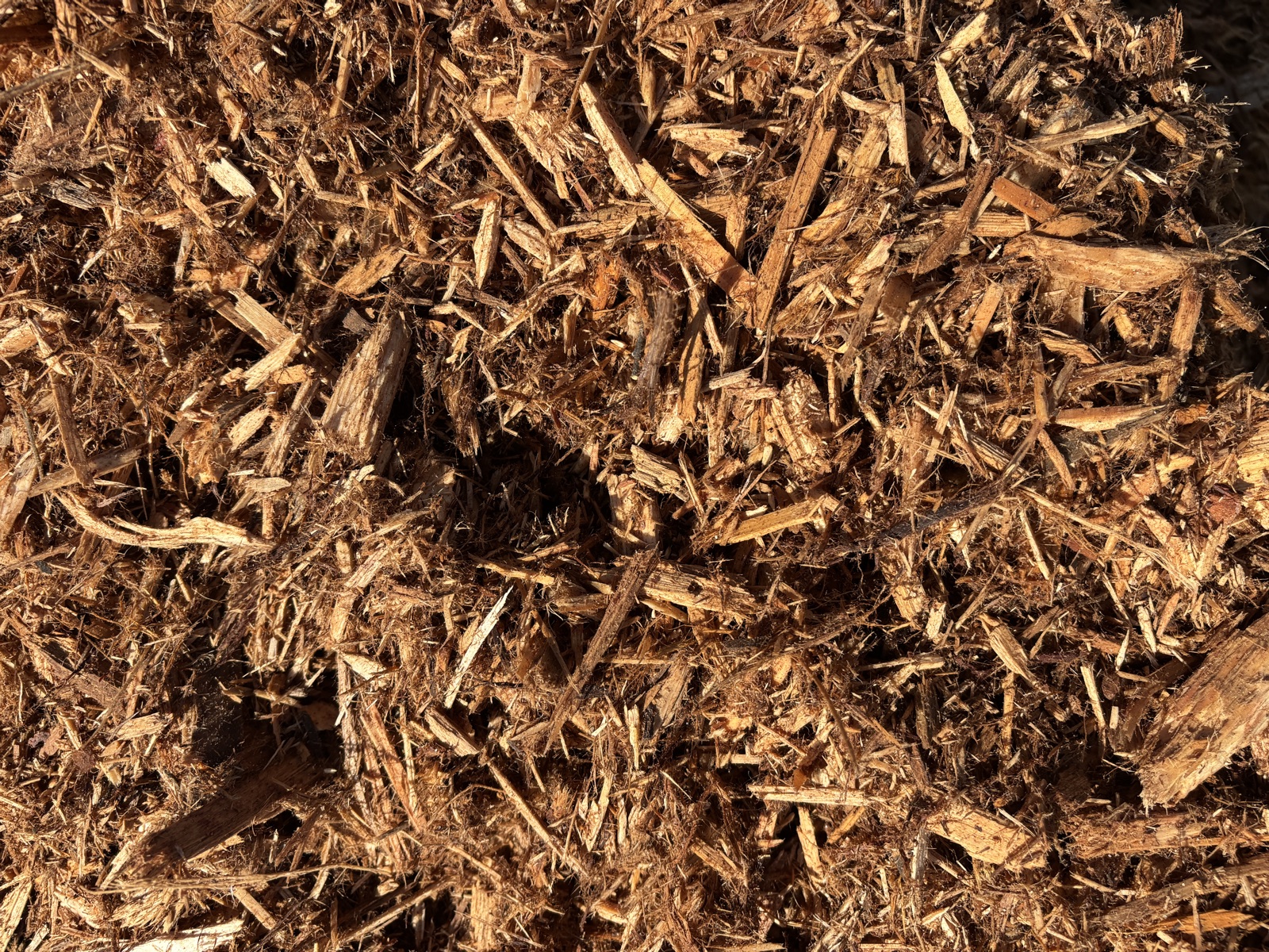 Cedar mulch pile from Miller's Landscape and Supply