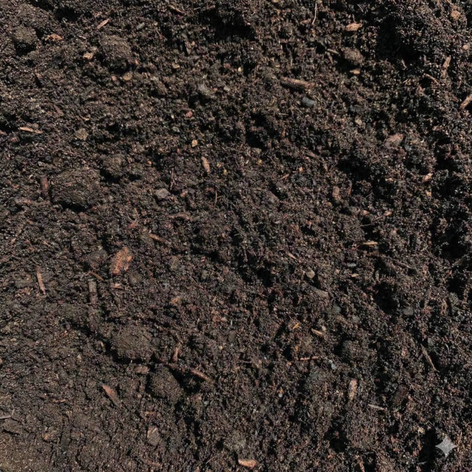 Premium topsoil closeup