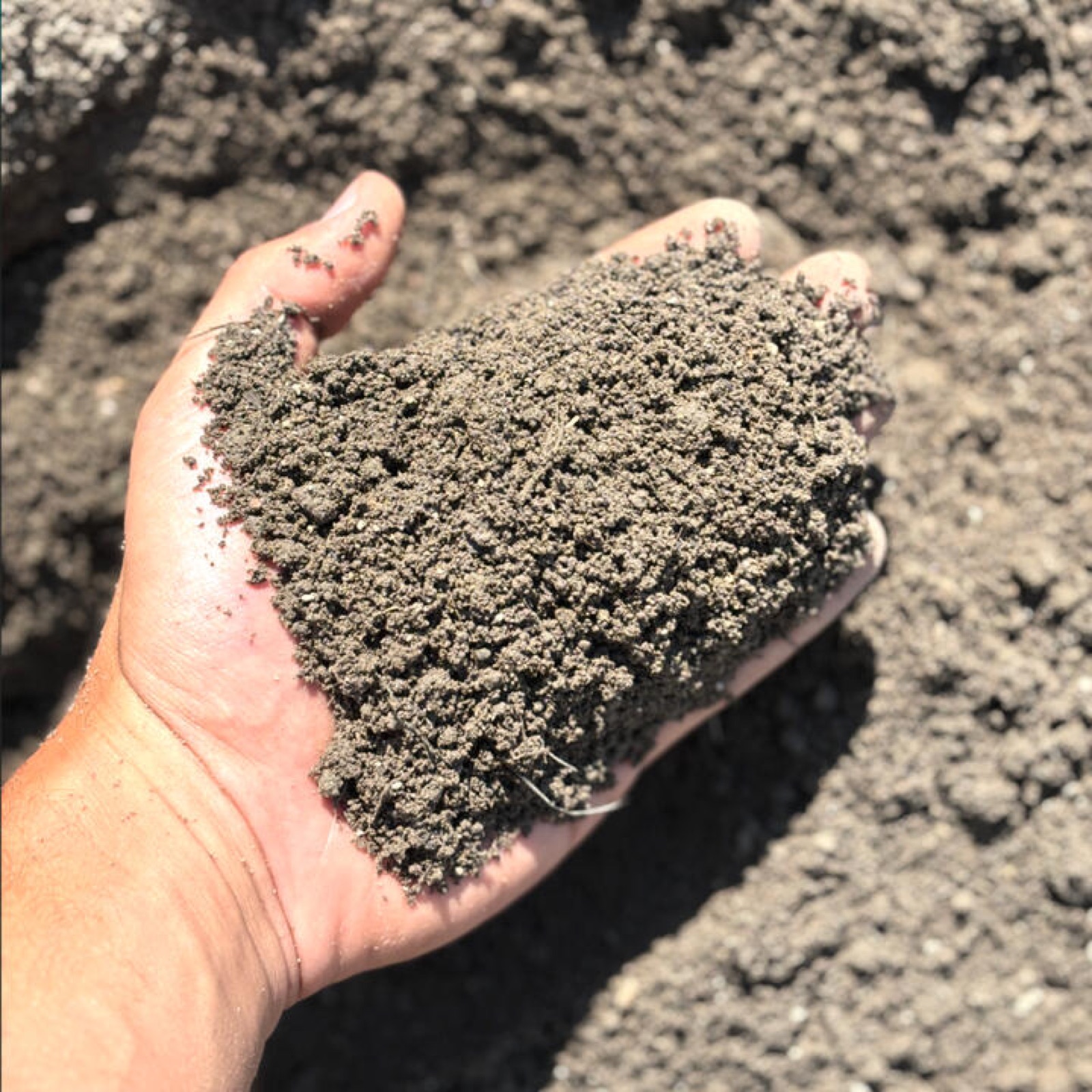 Premium topsoil from Miller's Landscape and Supply